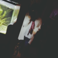 あおい。さんのアイコン画像