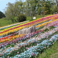 廉さんのアイコン画像