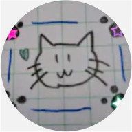 たしゅ✩*゚