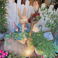 ぴかぴかさんのアイコン画像