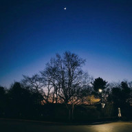 アンジュさんのアイコン画像