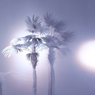 냐옹이 さんのアイコン画像