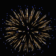 ﾎﾉｶさんのアイコン画像