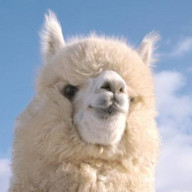 m i n . さんのアイコン画像