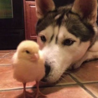 しさんのアイコン画像