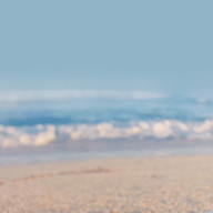 Nutsさんのアイコン画像