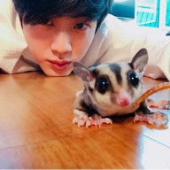 Kianaさんのアイコン画像