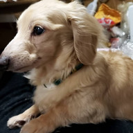 白龍@ユーリ大好きさんのアイコン画像