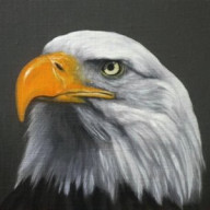 Ernesto Maldonadさんのアイコン画像