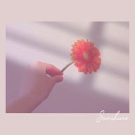 Ｓαｒαｎさんのアイコン画像