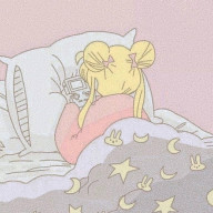 た にさんのアイコン画像