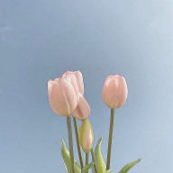 通分やったら任せて💚💚さんのアイコン画像