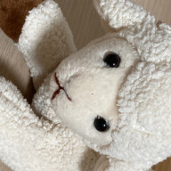 抹茶🍵🍯さんのアイコン画像