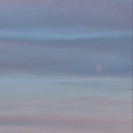 cccooさんのアイコン画像