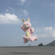 ランプさんのアイコン画像