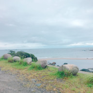 くらげさんのアイコン画像