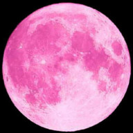 玲於さんのアイコン画像