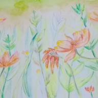 そらさんのアイコン画像