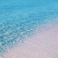 Lila._.さんのアイコン画像