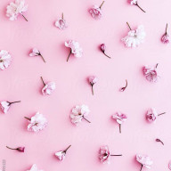 jurianさんのアイコン画像