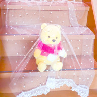 宮舘涼太の姫になりたいさんのアイコン画像