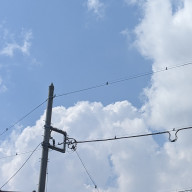 あいうえおちゃんさんのアイコン画像