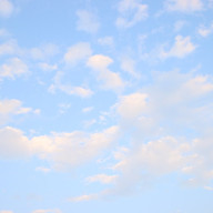 🍈🍞さんのアイコン画像