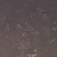 dadadaさんのアイコン画像