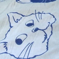 ささささんのアイコン画像