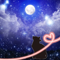 星猫さんのアイコン画像