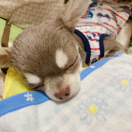 Atukoさんのアイコン画像