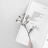 楓さんのアイコン画像