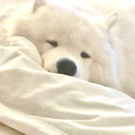 nunonさんのアイコン画像