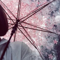 蓼丸☃さんのアイコン画像