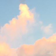 ぱいんさんのアイコン画像