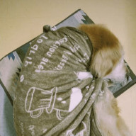 meyuuさんのアイコン画像