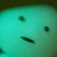 囧rzさんのアイコン画像