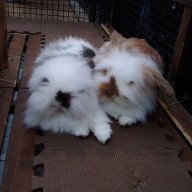 推進力さんのアイコン画像