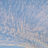 sstttさんのアイコン画像