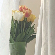 ぱぴぷぺぽんさんのアイコン画像