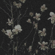 SixTONESさんのアイコン画像