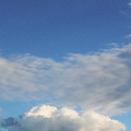 bloomさんのアイコン画像