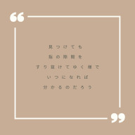 まどかさんのアイコン画像