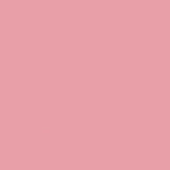 桜花さんのアイコン画像