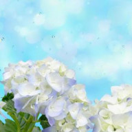 wind🌸さんのアイコン画像