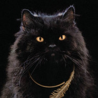 みんみんさんのアイコン画像