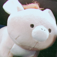 白担々麺さんのアイコン画像