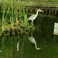 Maaactiveさんのアイコン画像