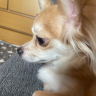 エスさんのアイコン画像