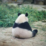 ニキ(更新再開)さんのアイコン画像